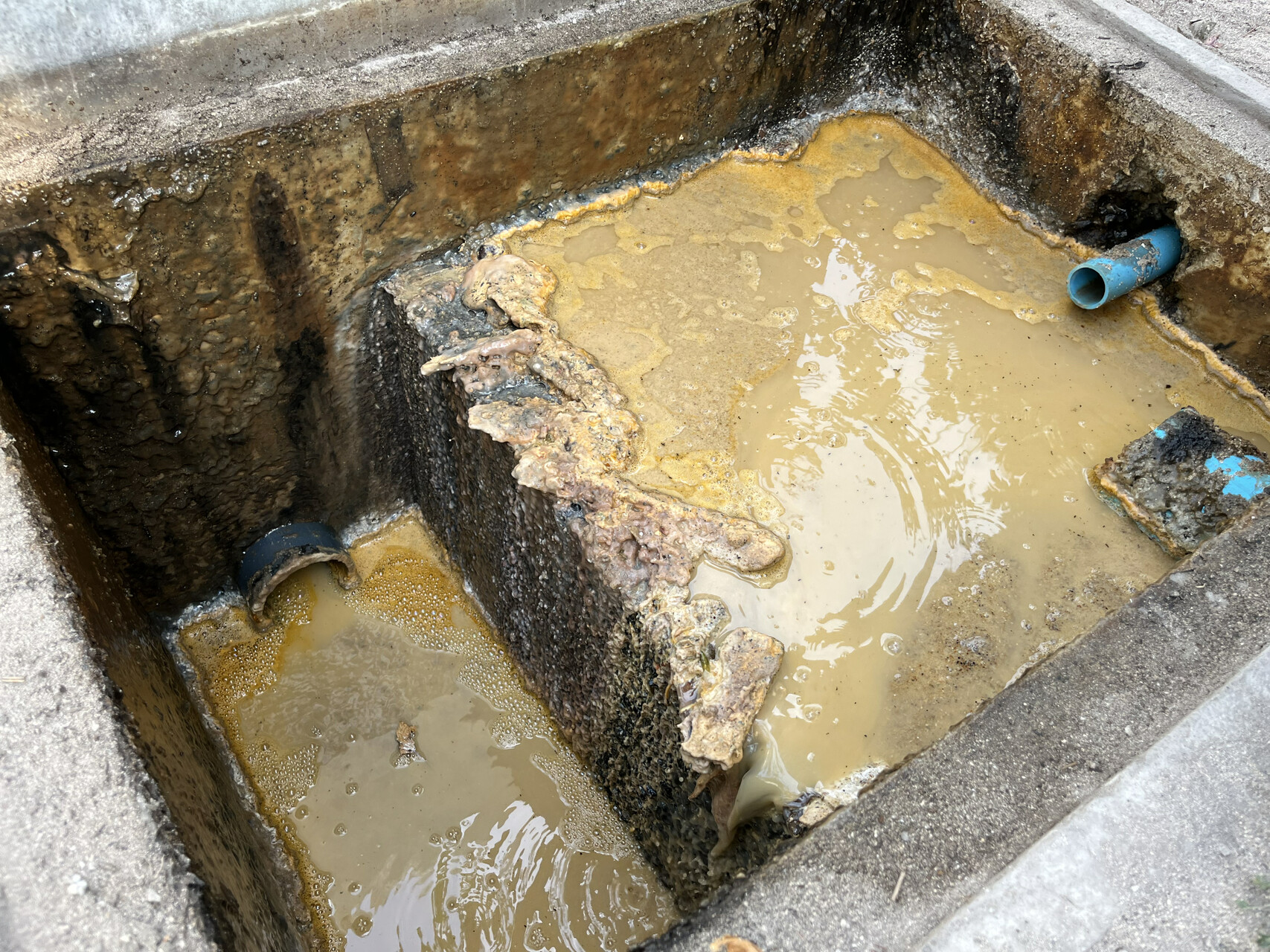 Influent grease chamber with heavy deposits from a food-waste stream